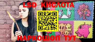 прущие грибы Тверь