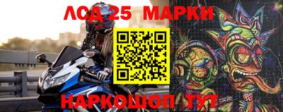 прущие грибы Тверь
